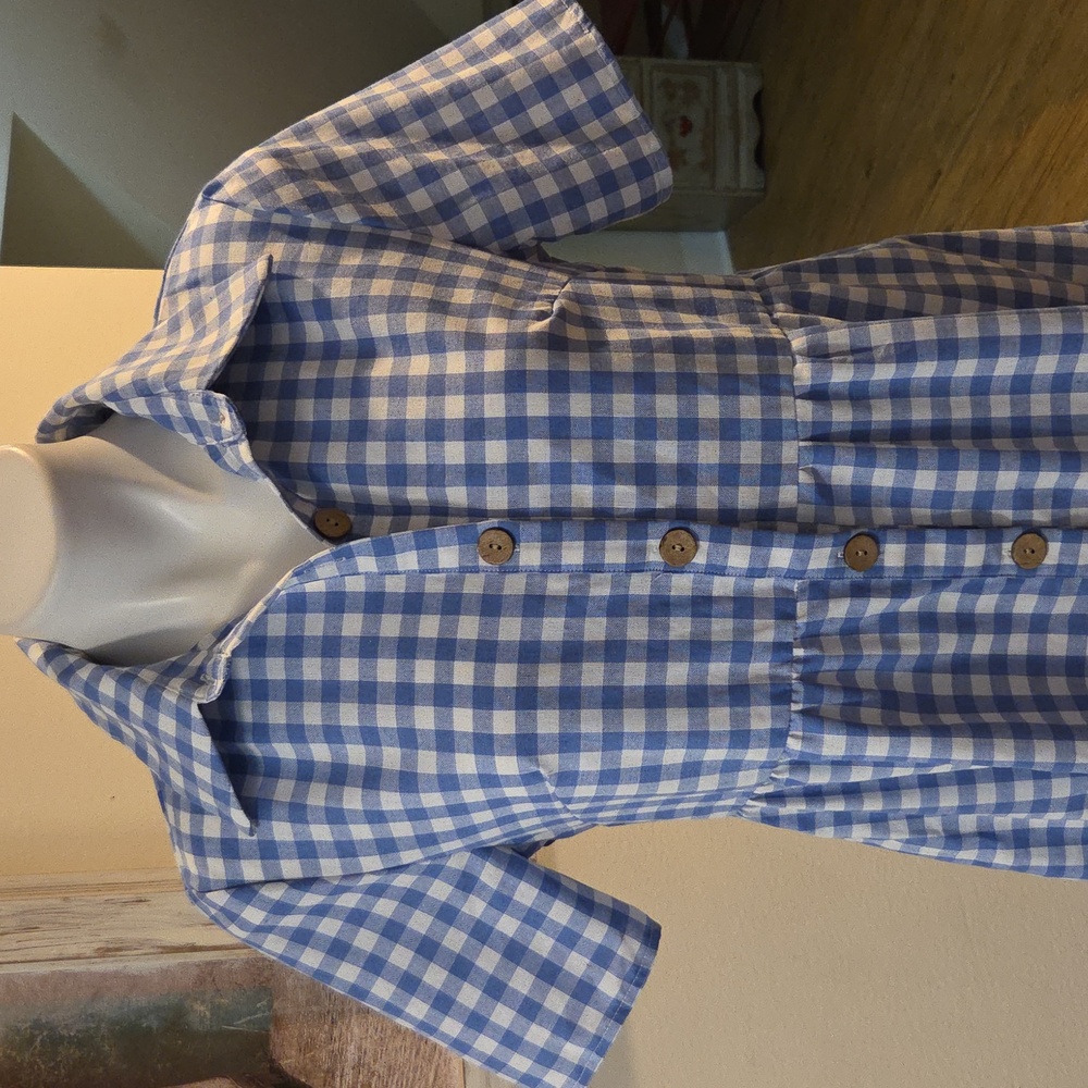 Emery Rose Gingham Button-Down Dress - Picture 4 of 12